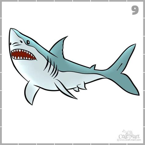 How To Draw A Shark In 9 Easy Steps Shark Drawing Drawings Shark