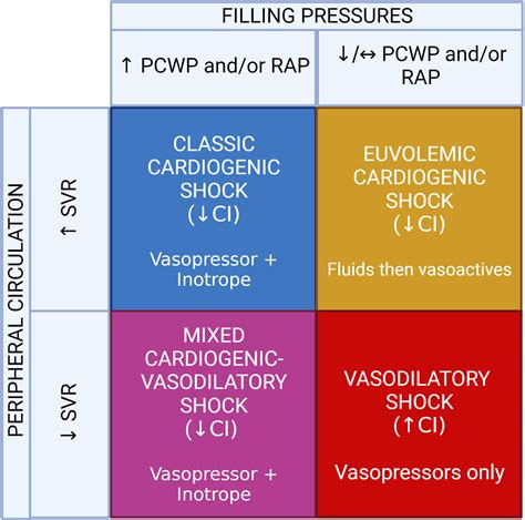 Cardiogenic Shock Critical Care Clinics