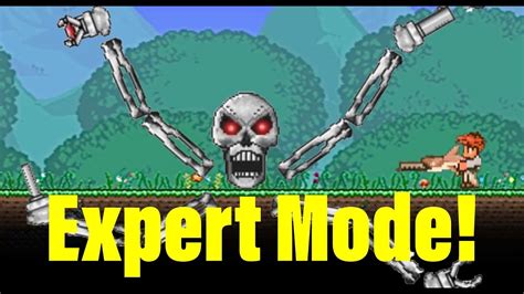 Skeletron expert mode full solo guide. How to Beat Skeletron Prime in Expert Mode - Terraria - YouTube