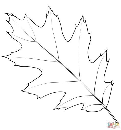 Printable Oak Leaves