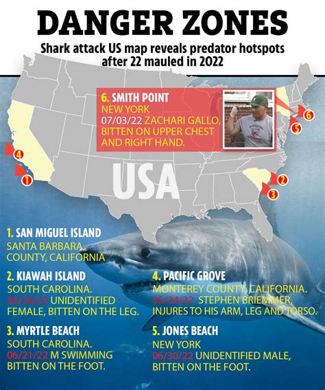 Shark Attacks 2022 How Many Shark Attack Occurred In The United States
