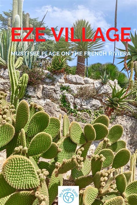 An Image Of A Cactus Garden With The Wordsezevilllage Must See Place