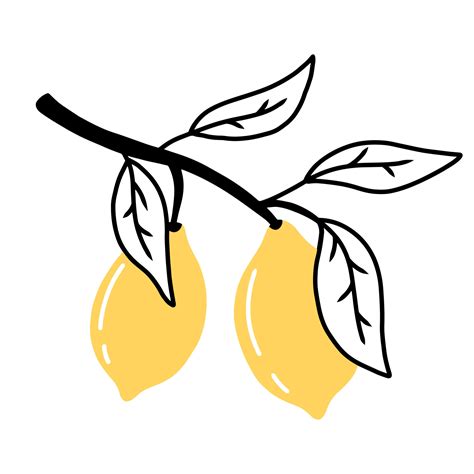 Branche De Doodle Avec Des Citrons Citrons Avec Des Feuilles
