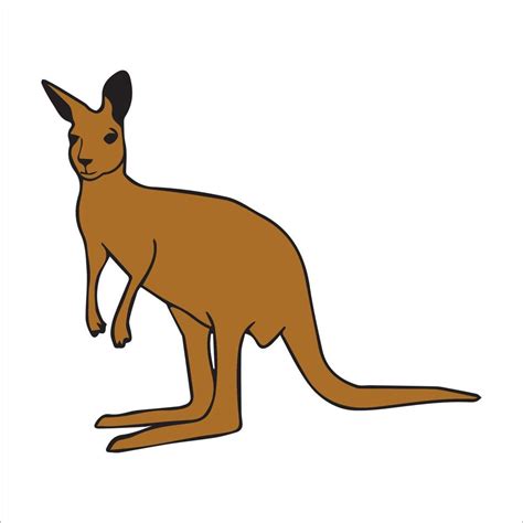 Kangaroo Vector Art 5154727 Vector Art At Vecteezy