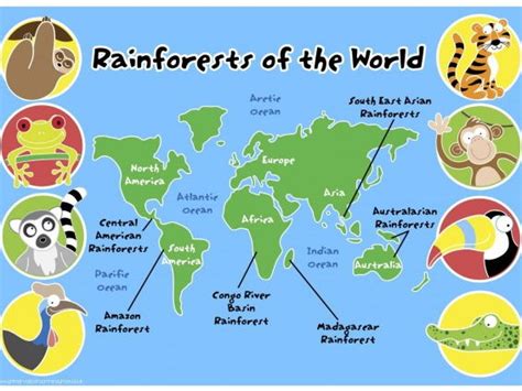 Rainforests Of The World Map Pack Teaching Resources