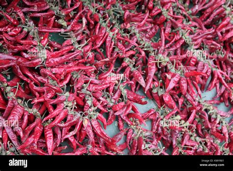 Red Hot Chili Peppers Stock Photo Alamy