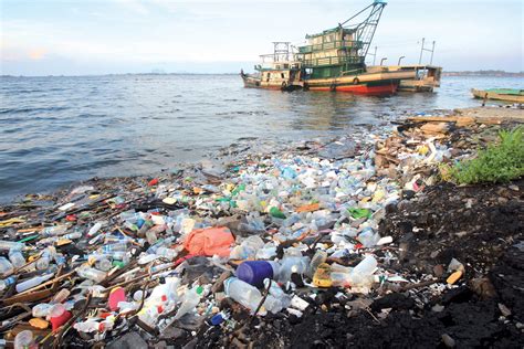 The Consequences Of Ocean Dumping Aa Sciences