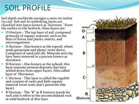 Soil Profile Soil Layers Soil Earth Layers