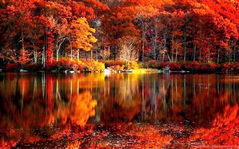 Lake In Autumn Desktop Backgrounds Id 2144 7hdwallpapers