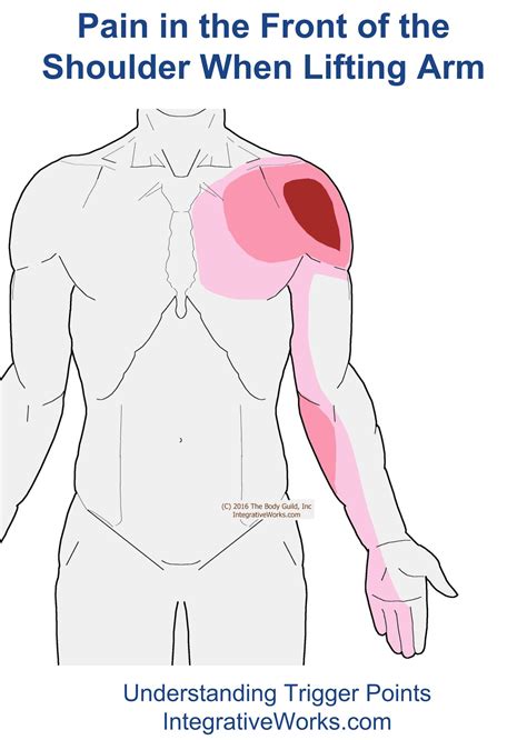 Front Of Shoulder Pain When Raising Arm Integrative Works