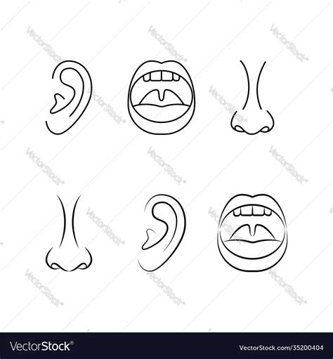 Ent Specialist Logo With Ear Nose And Throat Vector Image
