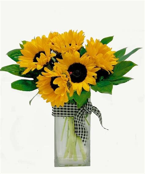 Find a flower shop in tulsa, ok to create custom floral arrangements for weddings, funerals, showers, proms, birthdays, holidays, anniversaries, or decoration. Rozanne | Bee friendly flowers, Square glass vase ...