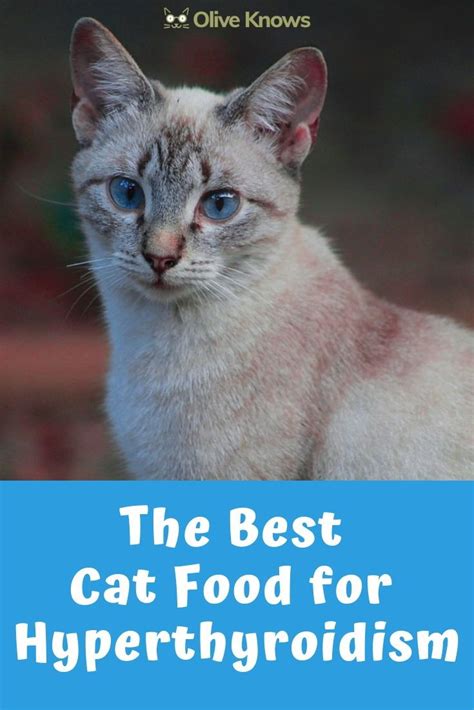 Yet it still lost weight. The Best Cat Food for Hyperthyroidism | Best cat food ...