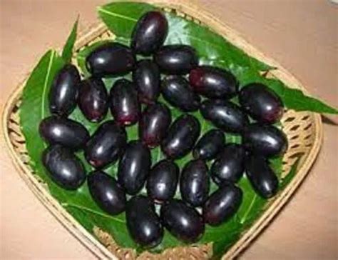 A Grade Fresh Black Jamun Packaging Size 1 At Rs 200kg In Nashik
