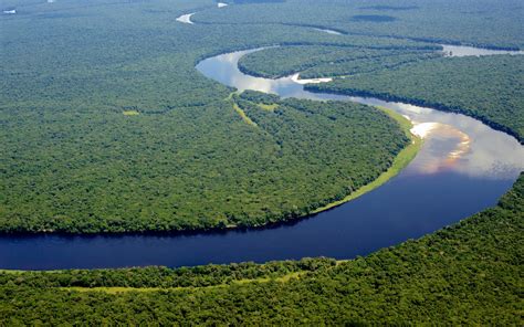 Gire Sat Congo Project To Commence In The Congo Basin Global Green News
