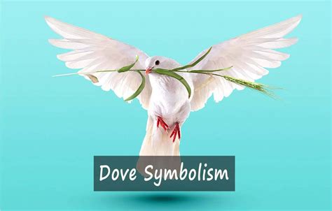 Dove Symbolism What Is The Spiritual Meaning Of The Dove