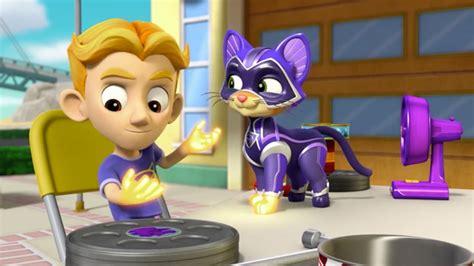 Wild Cat Wildcat Paw Patrol Collection – Gold Standard Pets