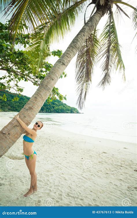 Woman Hugging Palm Tree Stock Image Image Of Body Bikini