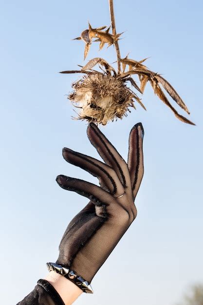 Premium Photo Hand In A Black Glove Collects Dried Flowers