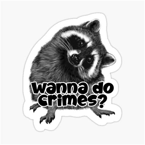 Raccoons Wanna Do Crimes Sticker For Sale By N21b Redbubble