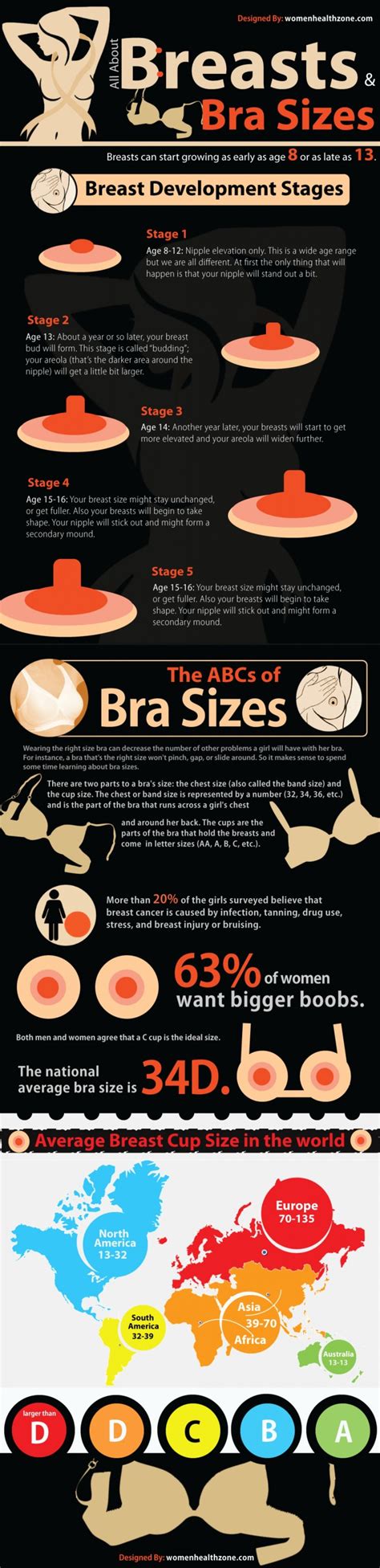 Breast Development 5 Stages Of Bra And Breast Sizes