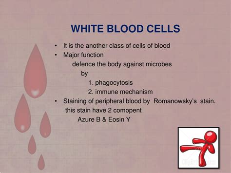 Ppt White Blood Cells And Its Disorders Powerpoint Presentation Id
