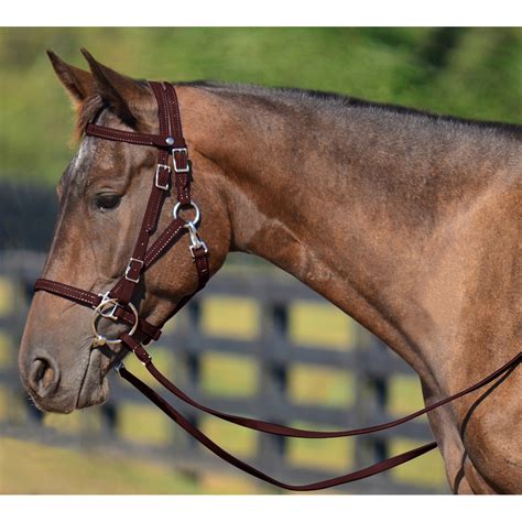 Brown Quick Change Halter Bridle With Snap On Browband Made From Beta