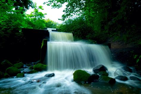 Free Images Landscape Nature Forest River Stream Green Flow