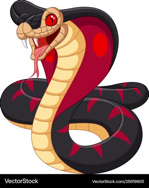 Cartoon King Cobra Snake On White Background Vector Image