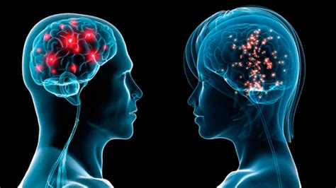 Diferencias Entre El Cerebro Femenino Y Masculino Wellnessreal Porn