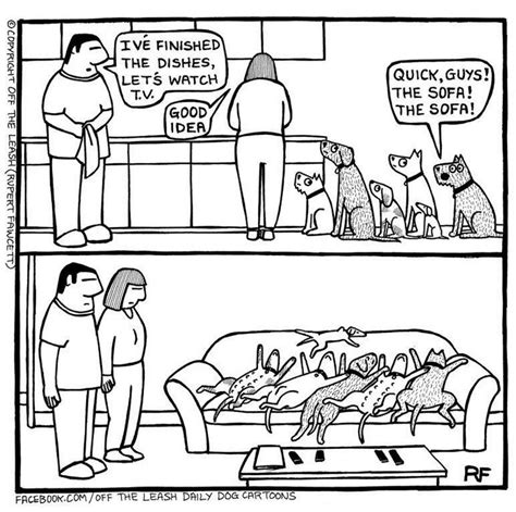 30 Hilarious Comics About Life With Dogs By Off The Leash Bored Panda
