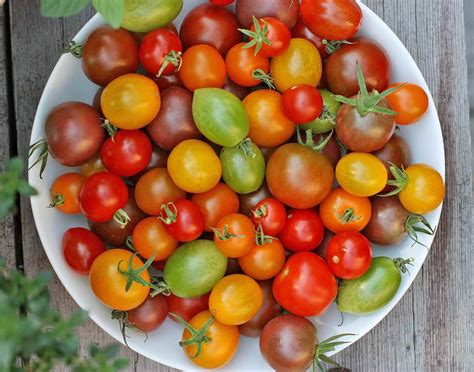 The Best Tasting Cherry Tomatoes To Grow