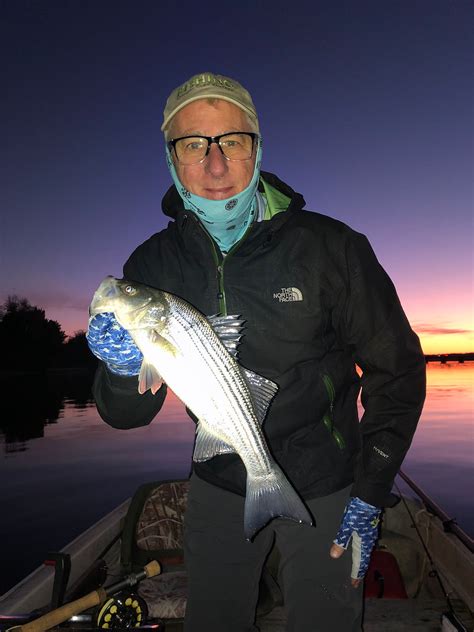 Fly Fishing For Striped Bass