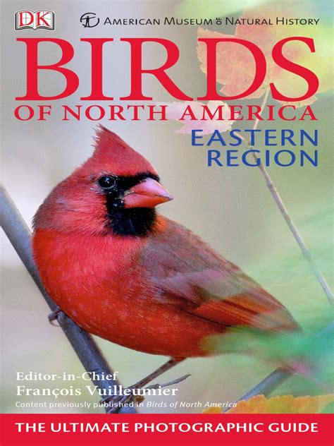 Birds Of North America Eastern Region Bird Migration