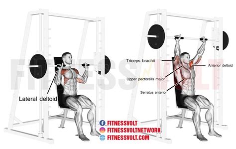 Smith Machine Seated Overhead Press Shoulders Fitness Volt