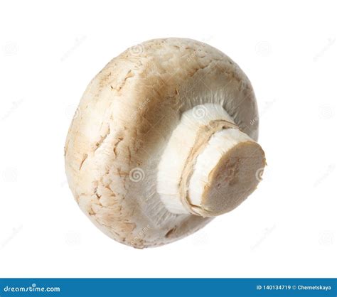 Fresh Champignon Mushroom Isolated On White Stock Image Image Of
