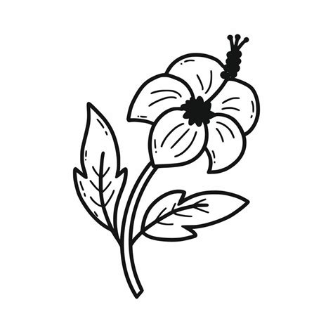 Hibiscus Vector Doodle Illustration Traditional Korean Flower