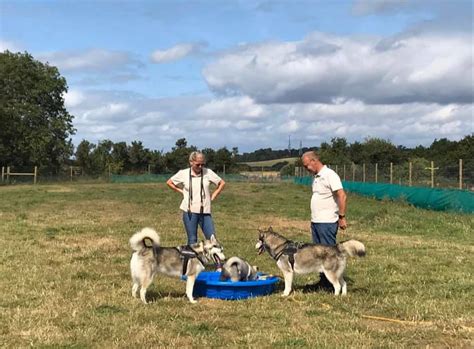 With three locations spread across melbourne our pet accommodation centres are perfect for those looking for dog boarding kennels in melbourne eastern. Paws @ The Junction - Dog Parks Near Me