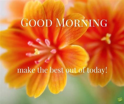 Best Good Morning Orange Flowers Image Good Morning Pictures