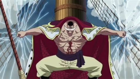 Why Whitebeards Bounty Is Far More Impressive Than Gol D Roger One