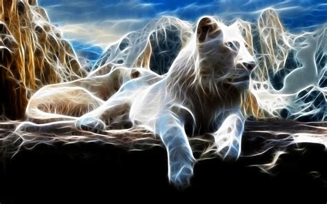 White Lion Hd Wallpaper Background Image 1920x1200 Id372091
