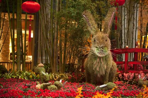 When is the chinese new year this year? Chinese New Year and the Year of the Rabbit - Stuck at the ...
