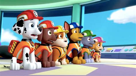 Whats Really Wrong With Paw Patrol News In Progress