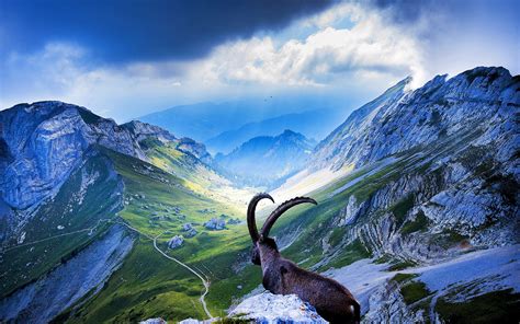 Mountain Scenery Nature Hd Desktop Wallpapers 4k Hd