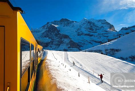 Jungfrau Railway Train Climbing From Stock Photo