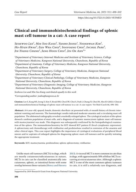 Pdf Clinical And Immunohistochemical Findings Of Splenic Mast Cell