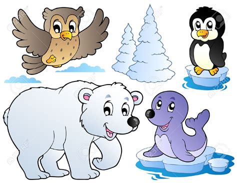 Polar Animals Clipart 20 Free Cliparts Download Images On Clipground 2024