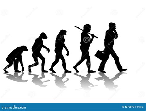 Evolution Royalty Free Stock Images Image 4275079