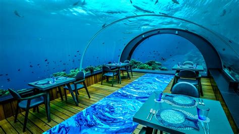 58 Undersea Restaurant Restaurant Review — Wbp Stars