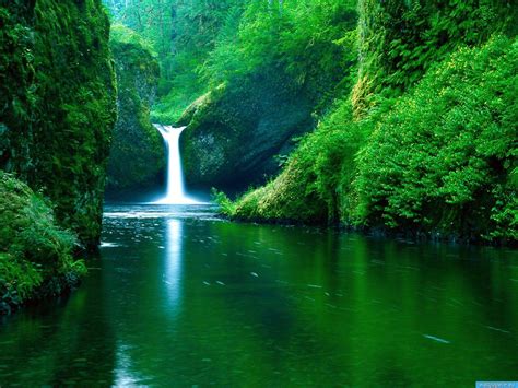 Nature Wallpapers Nature Wallpapers Hd Beautifull Nature Wallpapers Nature Greenery